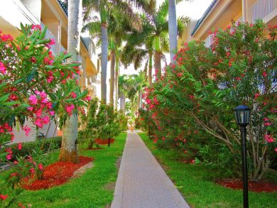 Bayfront Siesta Key Vacation Condo